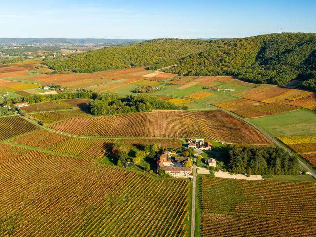 Vue aériene du Vignoble de Cahors - le Caillau à Vire-sur-Lot