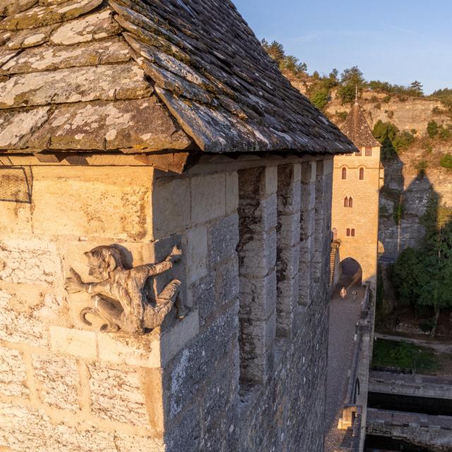 Le Diable du Pont Valentré ©c.novello