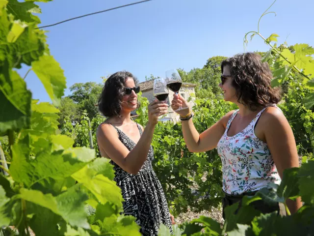 Trinquer dans les vignes des Coteaux du Quercy