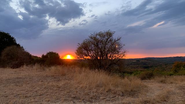 Coucher de soleil sur le causse