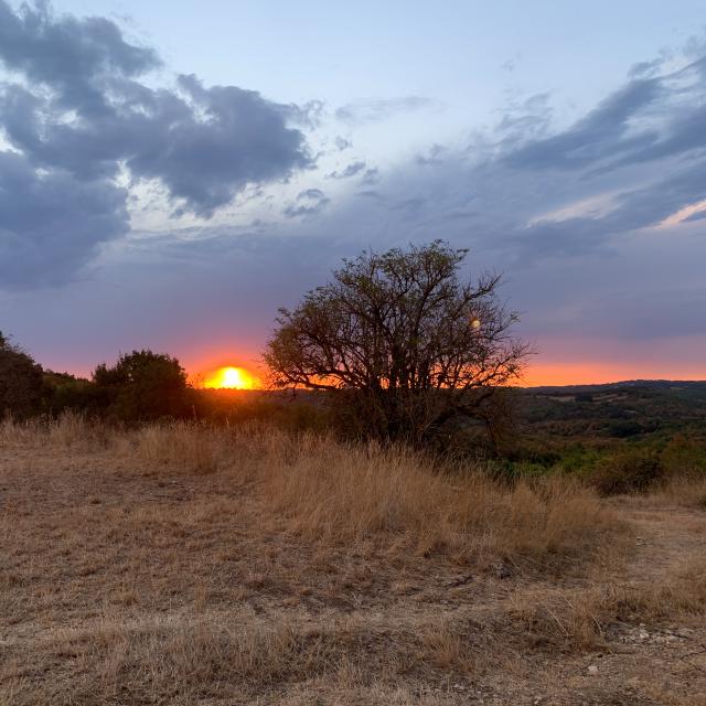 Coucher de soleil sur le causse