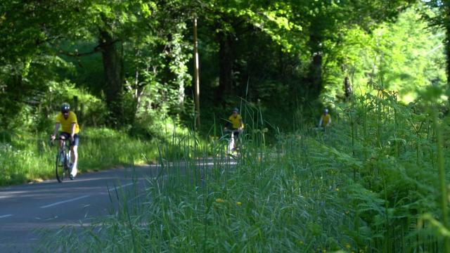 Vélos En Sous Bois 1.12.1