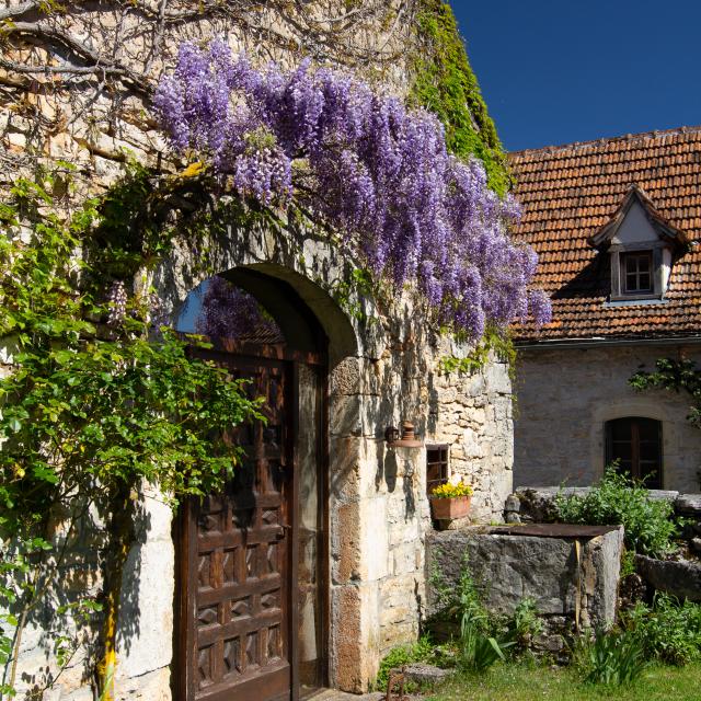 Façade et glycine à Espédaillac