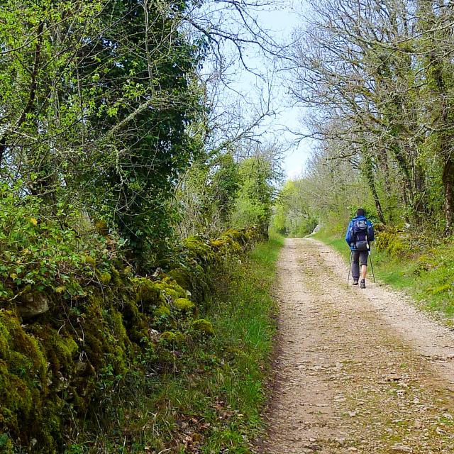 Paillasse - Randonneur sur le chemin de Saint Jacques