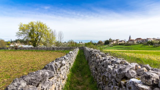 Chemin et murets de pierre sèche à Escamps