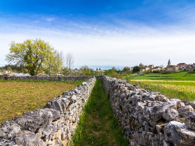 Chemin et murets de pierre sèche à Escamps