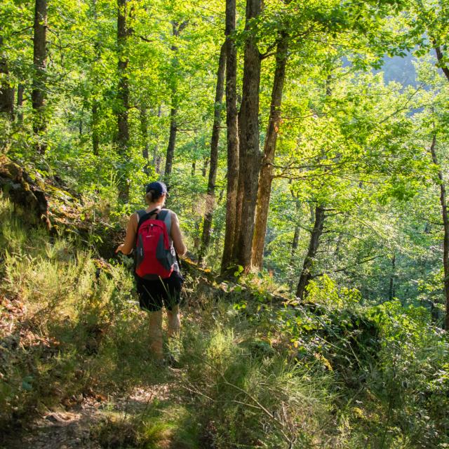 Descente du chemin vers le gouffre des cloches