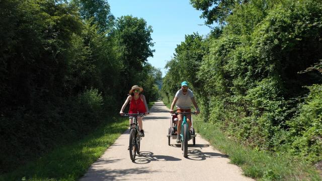 Vélos De Face