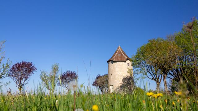 Moulin à Soulomès