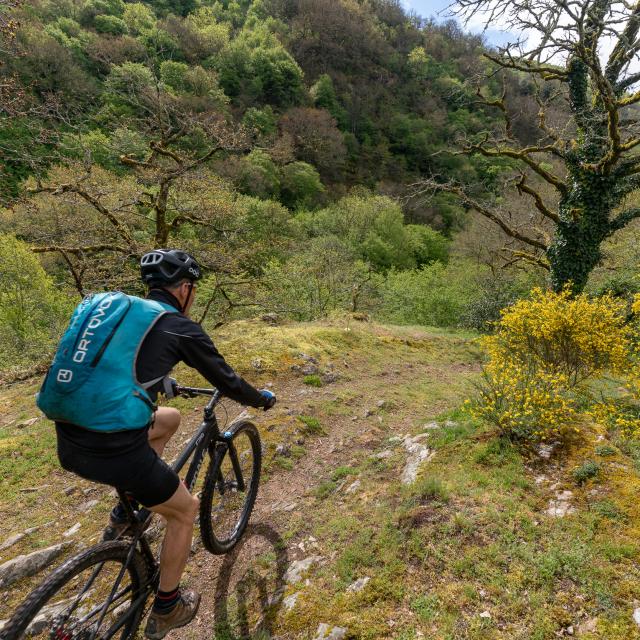 Tour du Lot à VTT dans le Ségala