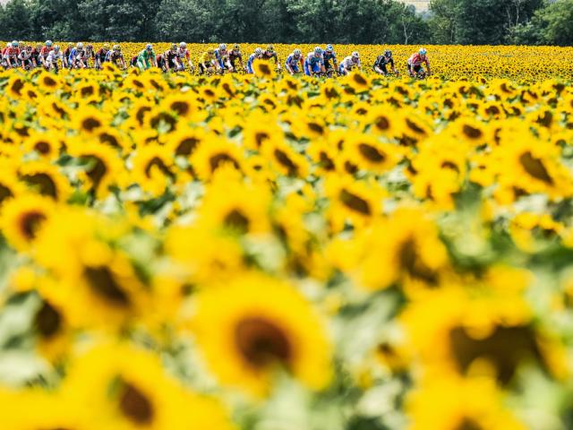 22/07/2022 - Tour de France 2022 - Etape 19 - Castelnau-Magnoac / Cahors (188,3km) -