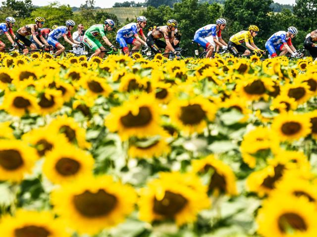 22/07/2022 - Tour de France 2022 - Etape 19 - Castelnau-Magnoac / Cahors (188,3km) -