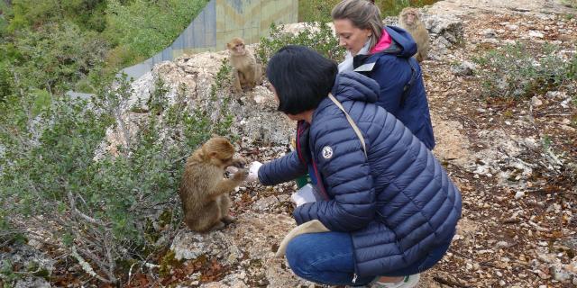 220909 Foret Des Singesp1040865©julien Foret Des Singes