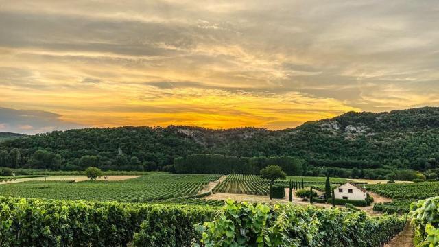 Les vignobles à Albas