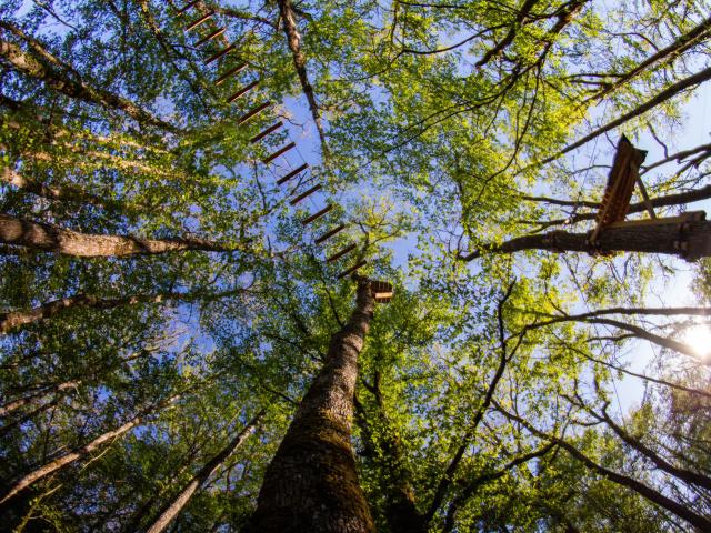 Parc Aventure Le Bois Des Elfes