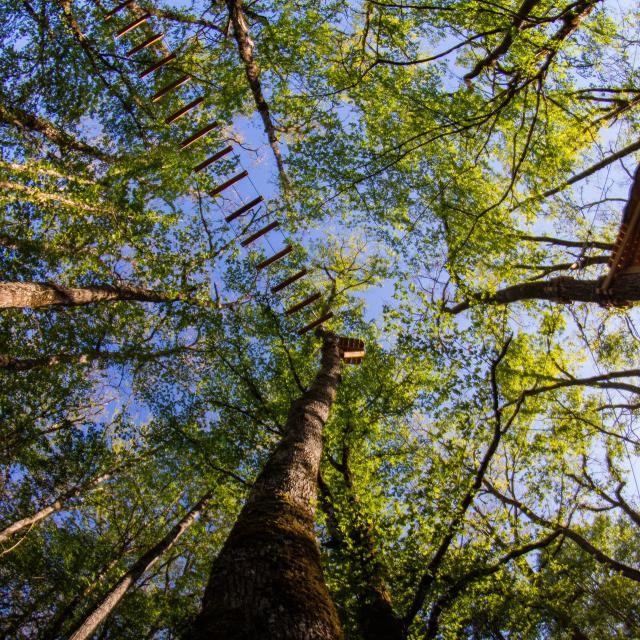 Parc Aventure Le Bois Des Elfes