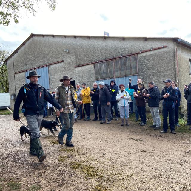 230416 Transhumance39 Berger Départ