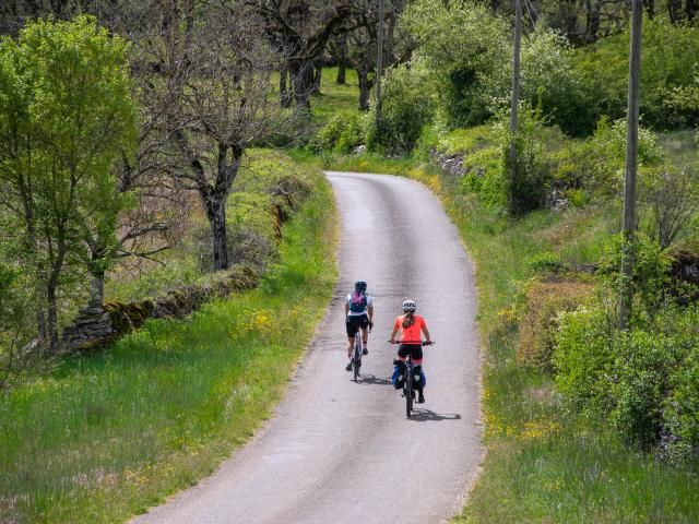 Cyclistes Sur Le Causse Fleuri Près De Carlucet Cyril Novello Lot Tourisme 20230420 150947