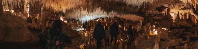 Visite Des Grottes De Cougnac © Maxime Audouard Lot Tourisme 20230416 145842