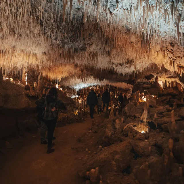 Visite Des Grottes De Cougnac © Maxime Audouard Lot Tourisme 20230416 145842