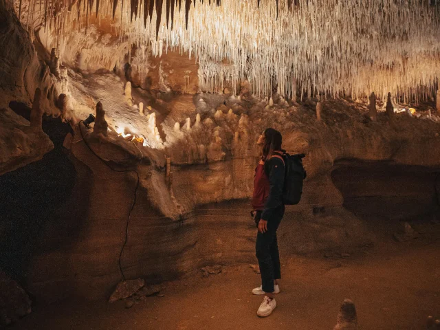 Visite Des Grottes De Cougnac © Maxime Audouard Lot Tourisme 20230416 145858