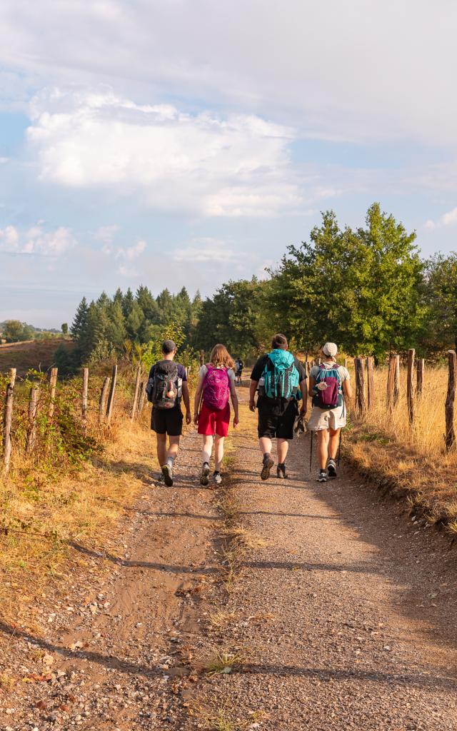 Sur le chemin de Saint-Jacques de Compostelle