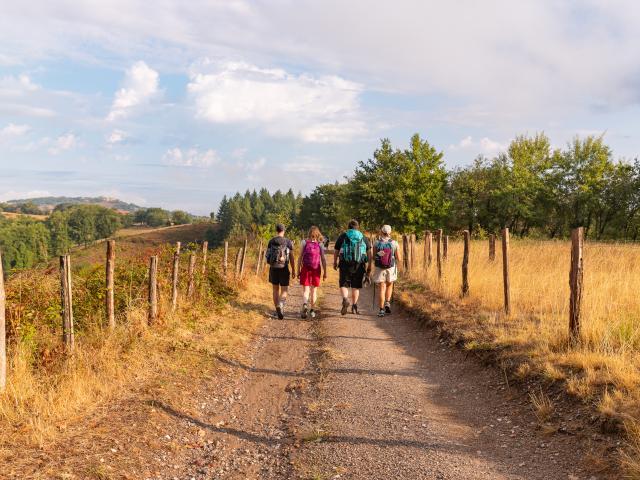 Sur le chemin de Saint-Jacques de Compostelle