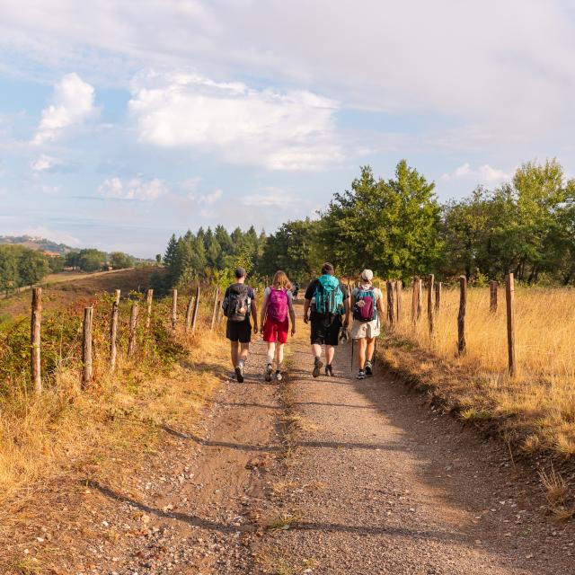 Sur le chemin de Saint-Jacques de Compostelle