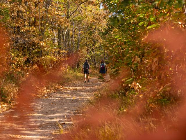 Sur le chemin de Saint-Jacques par le GR6