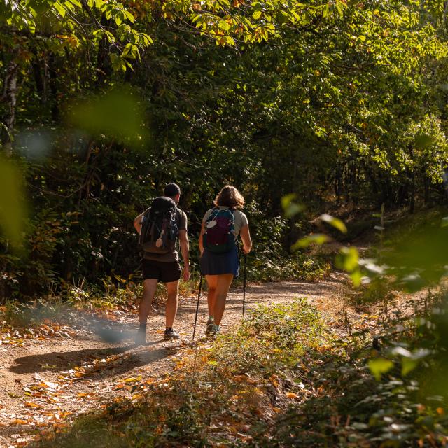 Sur le chemin de Saint-Jacques par le GR6