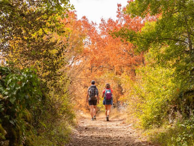 Sur le chemin de Saint-Jacques par le GR6