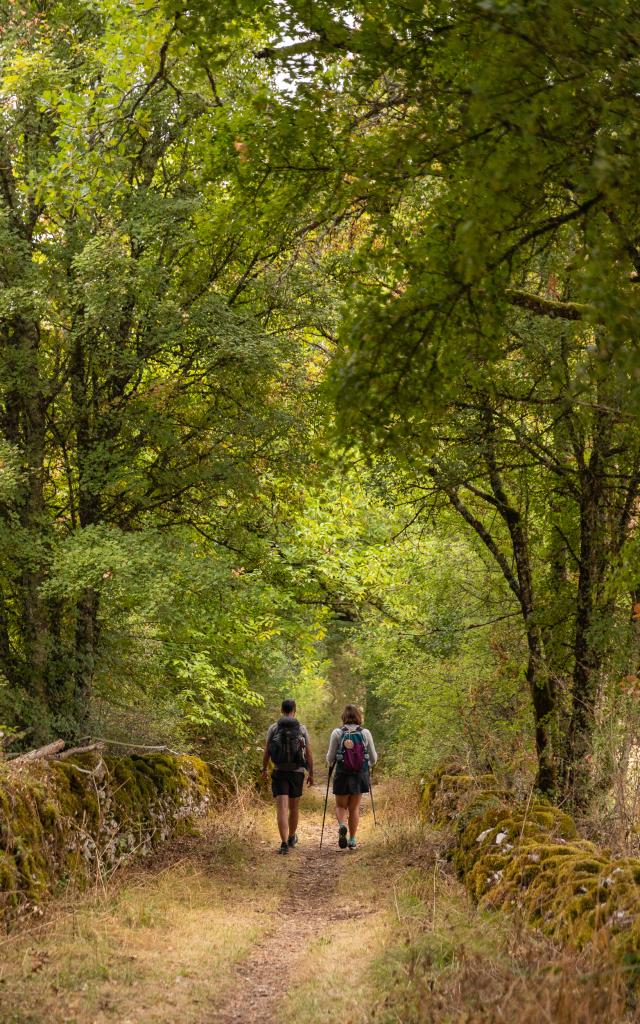 Sur le chemin de Saint-Jacques par le GR6