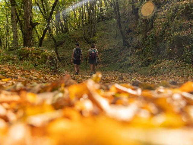 Sur le chemin de Saint-Jacques par le GR6