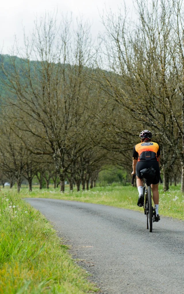 Cycliste dans une noyeraie