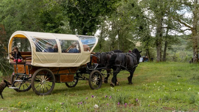 Arrivée de la calèche au campement