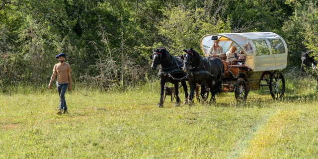 Déaprt du bivouac en calèche