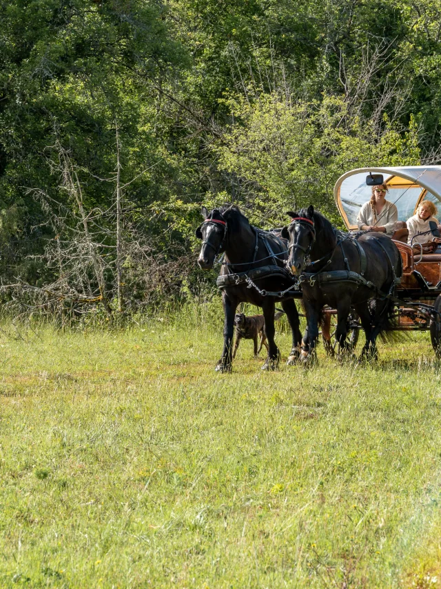 Déaprt du bivouac en calèche