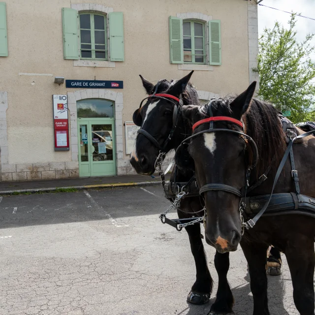 Départ de la gare de Gramat en calèche