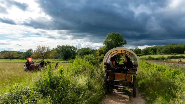 En calèche en pleine nature