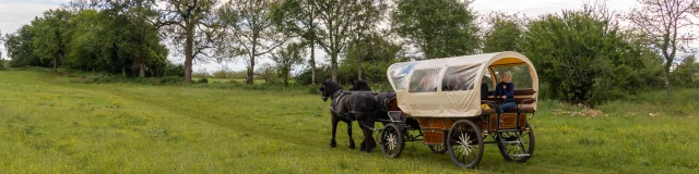 En calèche en pleine nature