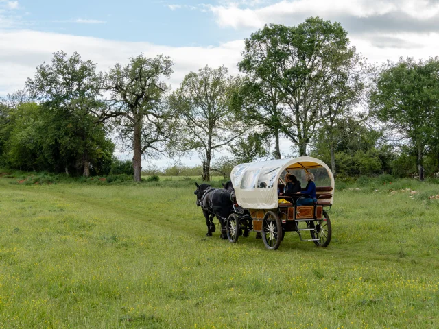 En calèche en pleine nature