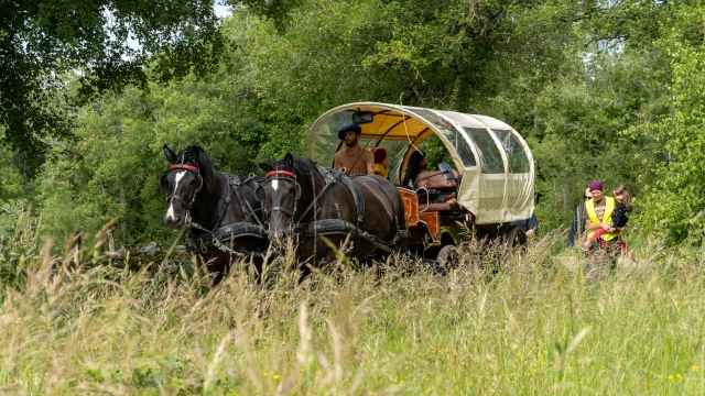 En calèche sur les chemins du causse