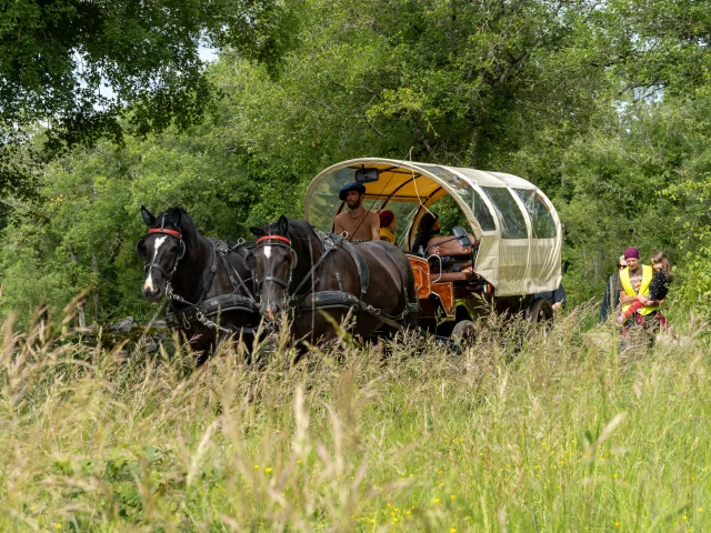 En calèche sur les chemins du causse