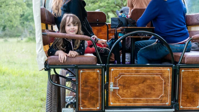 Jeune fille en calèche