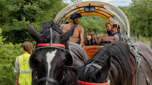 Voyage en calèche avec Nomades des Terres