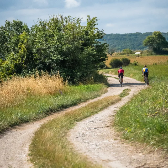 Vélo gravel à Lalbenque