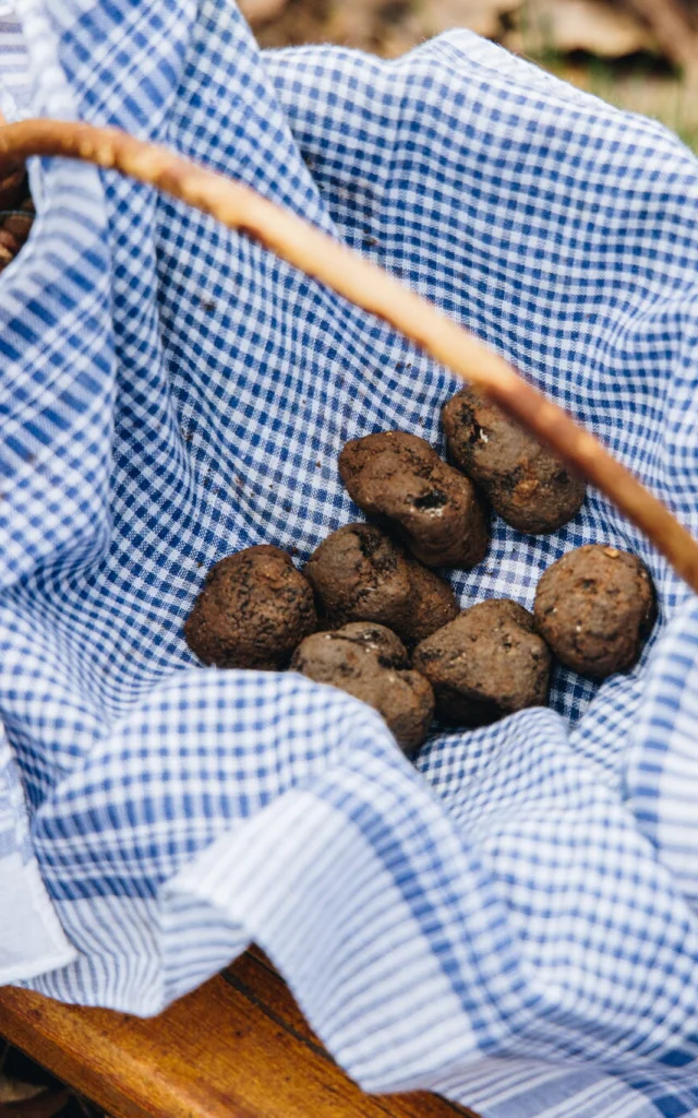 Panier de Truffes