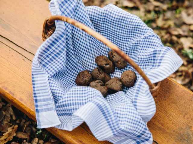 Panier de Truffes