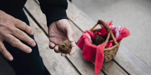 Des petits paniers qui sentent bon