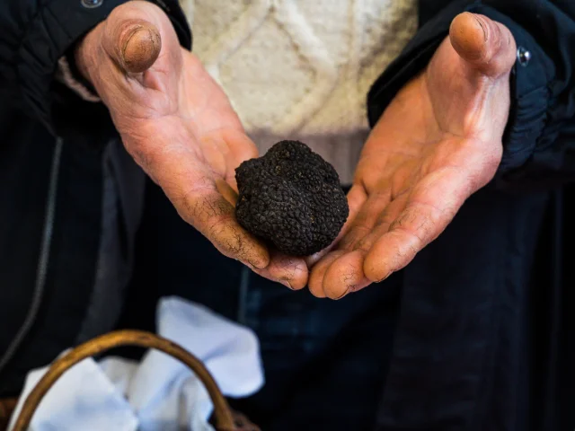 Marché aux truffes de Gourdon